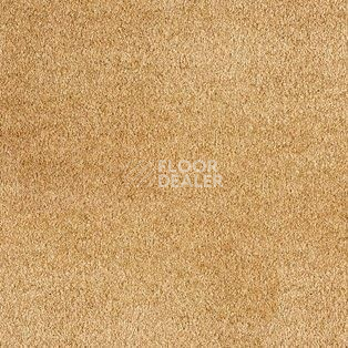 Ковролин AW Parana 35 фото 1 | FLOORDEALER